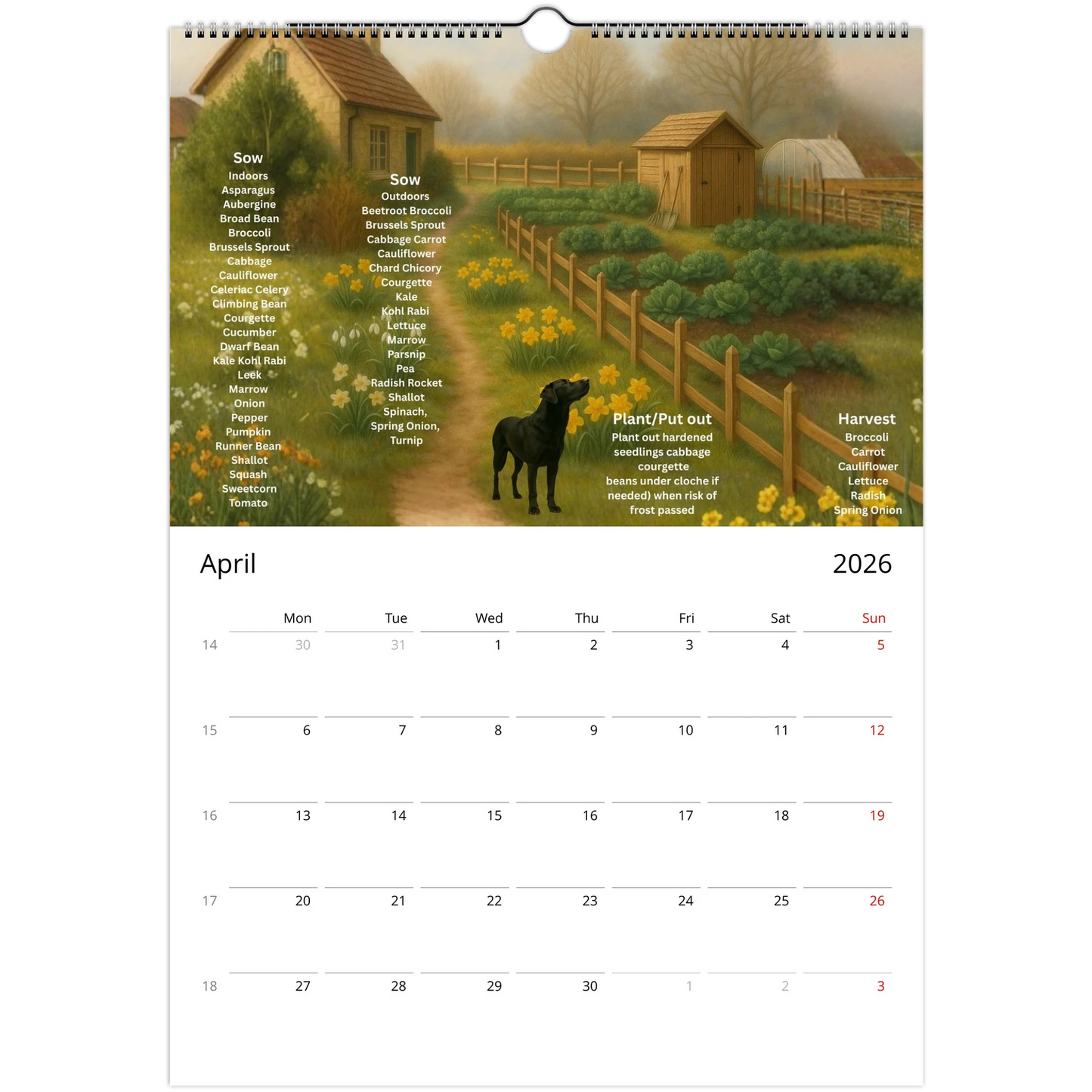 26b5b94f-52b3-450a-8236-277f8ce0e38e