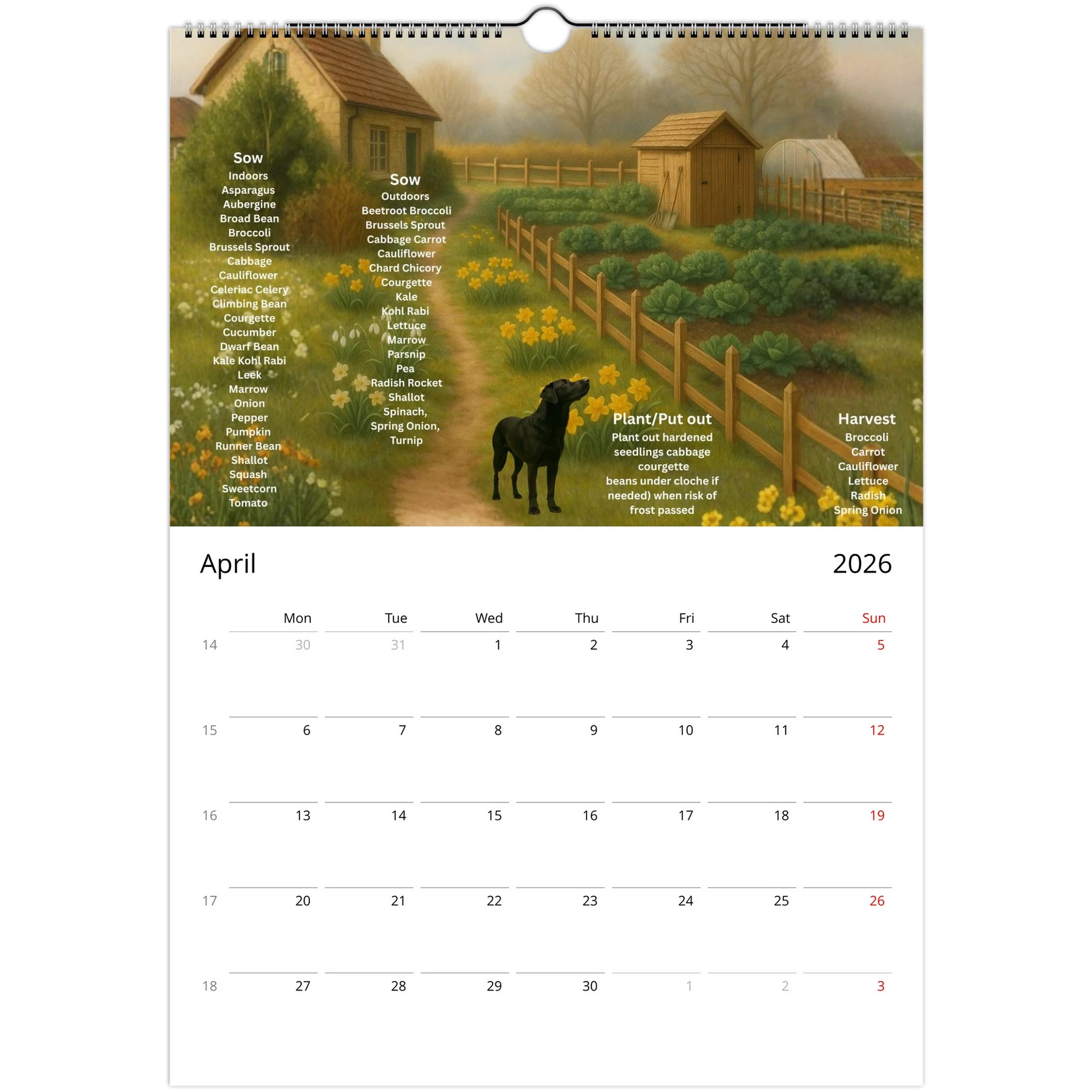 26b5b94f-52b3-450a-8236-277f8ce0e38e