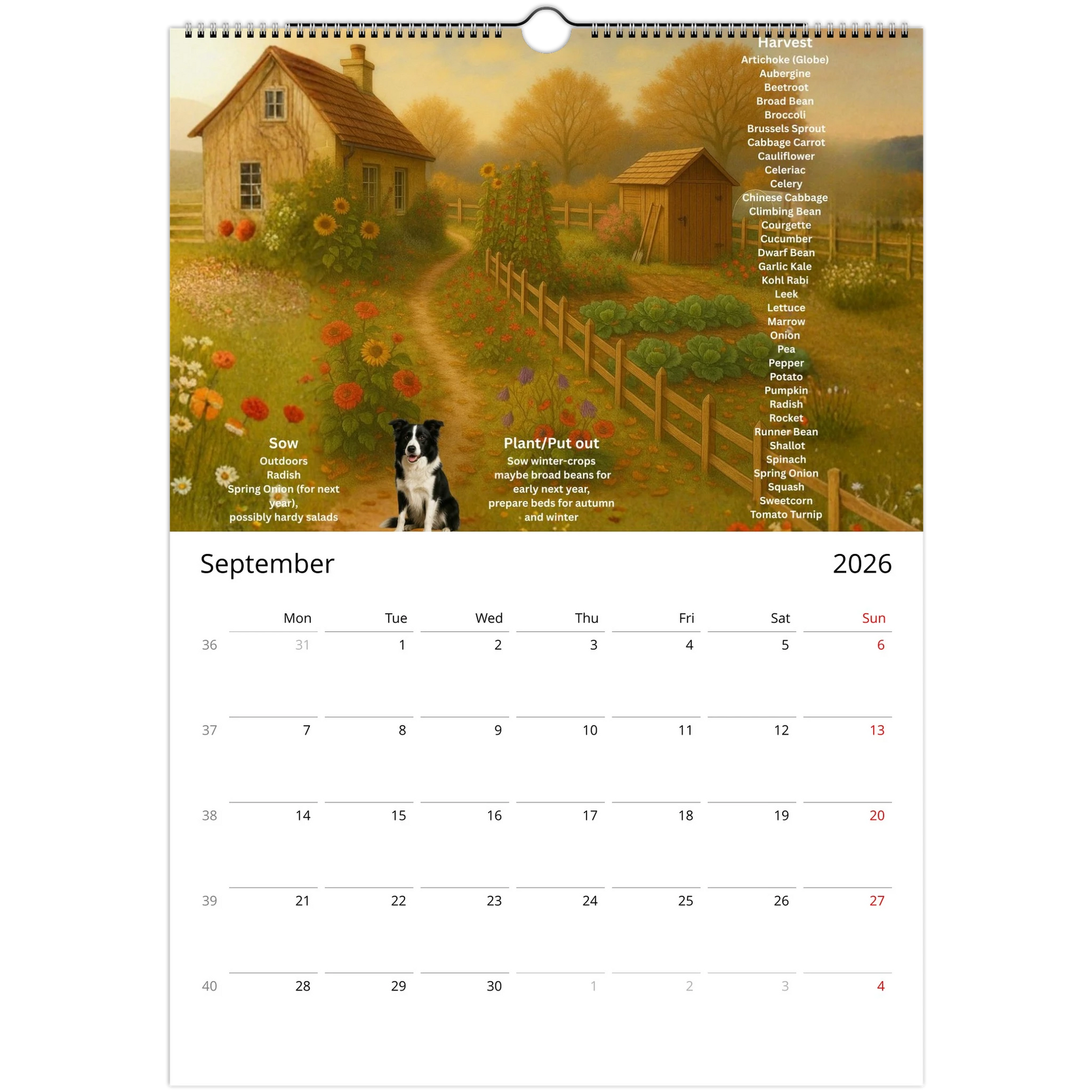 40e75360-354b-45fa-8e50-643233627f9d