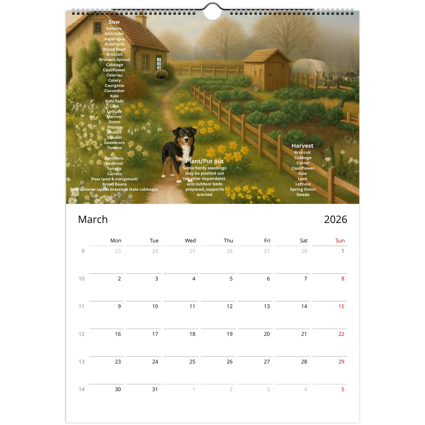 e3c9de75-7b2d-4361-8758-0a0a221d1077